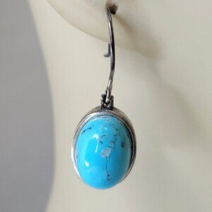 Turquoise hued Small Earrings